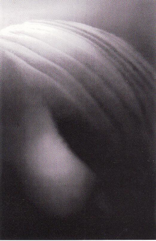 Kousnutí Kousnutí, autor: Jolana Havelková