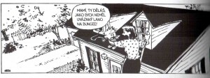 calvin bungee