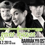 DI GRINE KUZINE v Barráku
