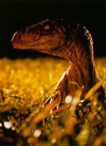 TLWraptor