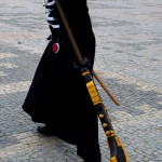 DSCN8919