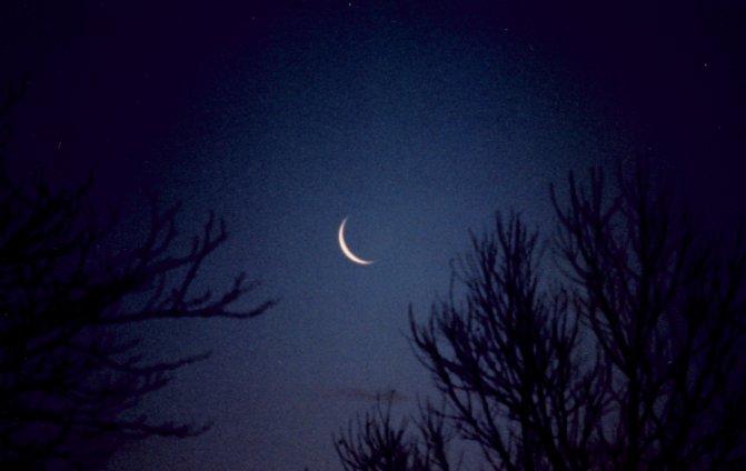 thin-moon