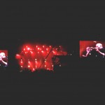 Bonobo