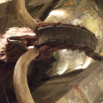 Mamííí,dívej – mamut!