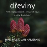 Vyrostla štíhlá jedlička, tam mezi…