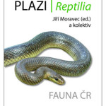 Fauna Reptilia