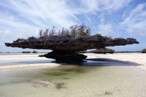 Aldabra: Byl jednou jeden ostrov (Falcon)