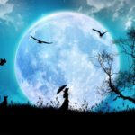 Diana Průšová: Amazonky – na přelomu věků (úryvek)