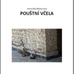 Veronika Matysová: Pouštní včela (úryvek)