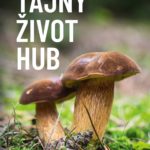 Co skrývá tajný život hub?
