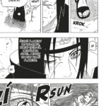 Naruto 43 – Ten, který zná pravdu