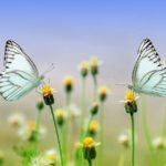 Sv. Outdoor je patronem putujících…