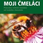 Čmeldové kolem nás