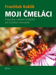 obálka knihy, zdroj:www.academia.cz