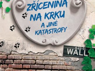 Zřícenina na krku a jiné katastrofy