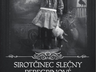 Sirotcinec Ptaci snem