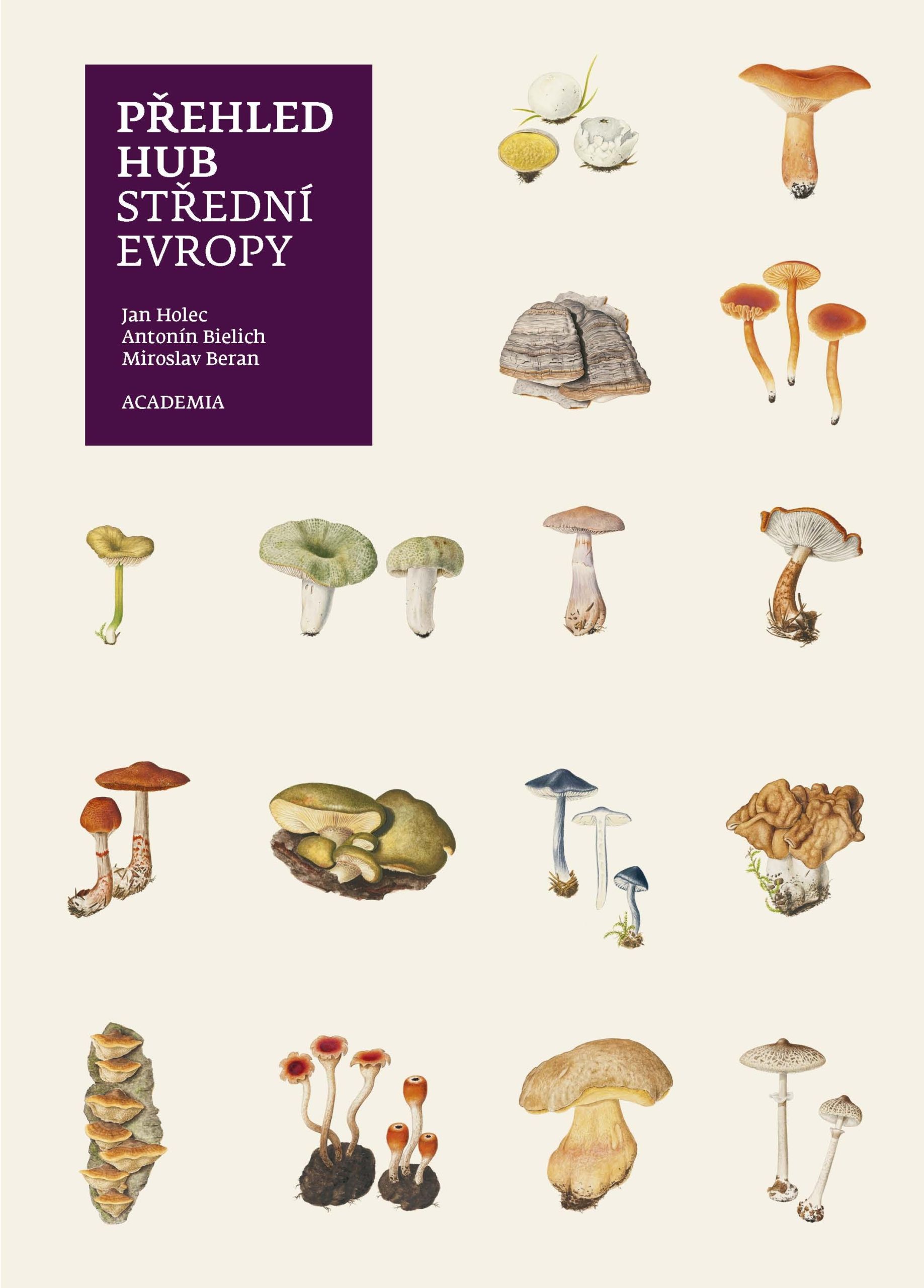 obálka knihy, zdroj: www.academia.cz