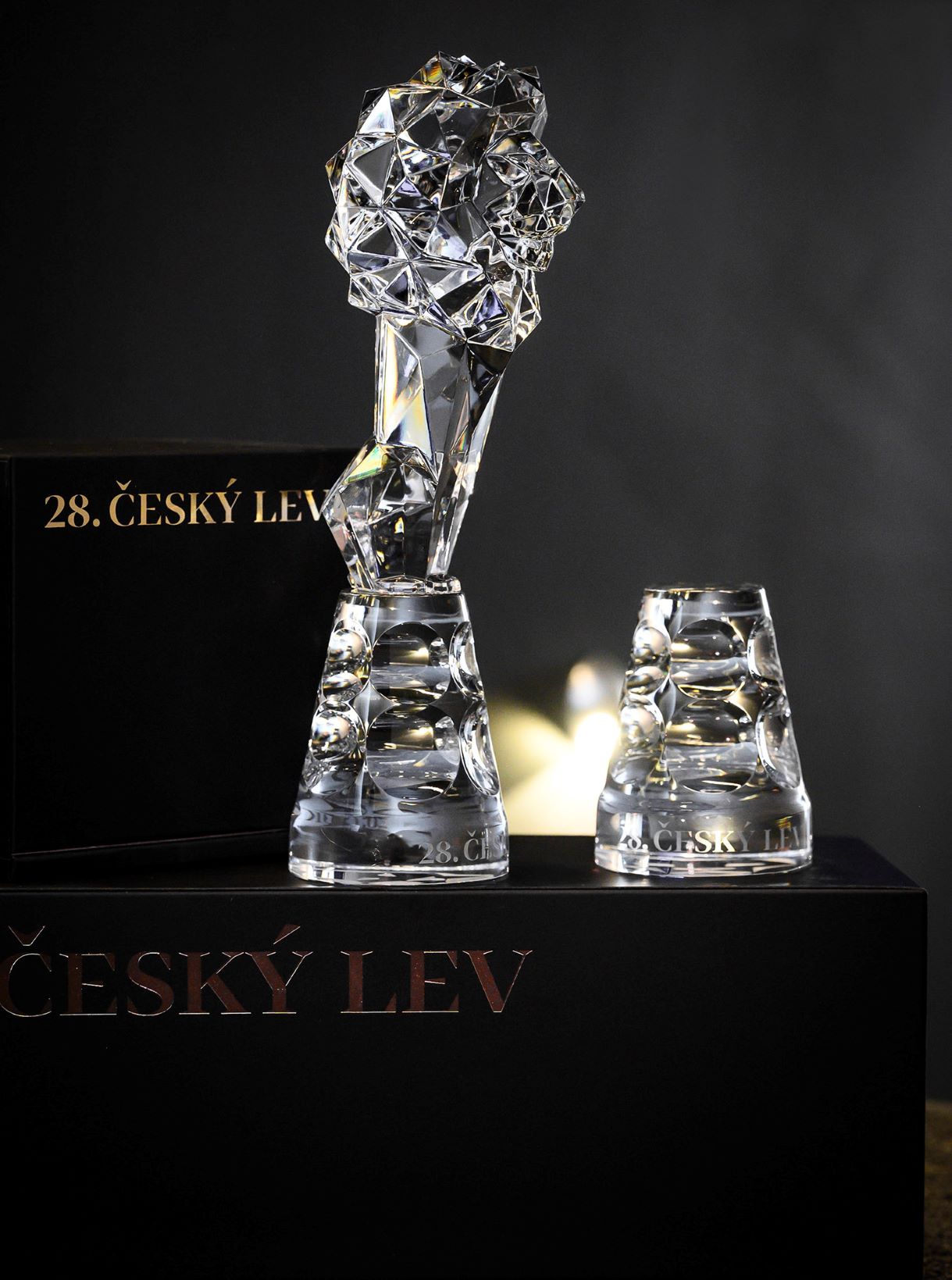 TK Cesky lev 2021 11 c PetraHajska m TK Cesky lev 2021 11 c PetraHajska m