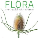 Ohromující svět rostlin pod lupou