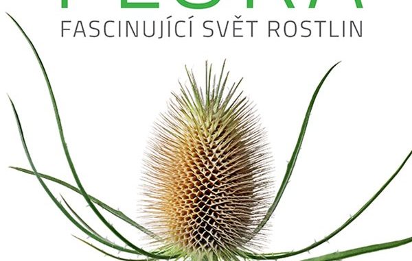 obálka knihy, zdroj:www.grada.cz