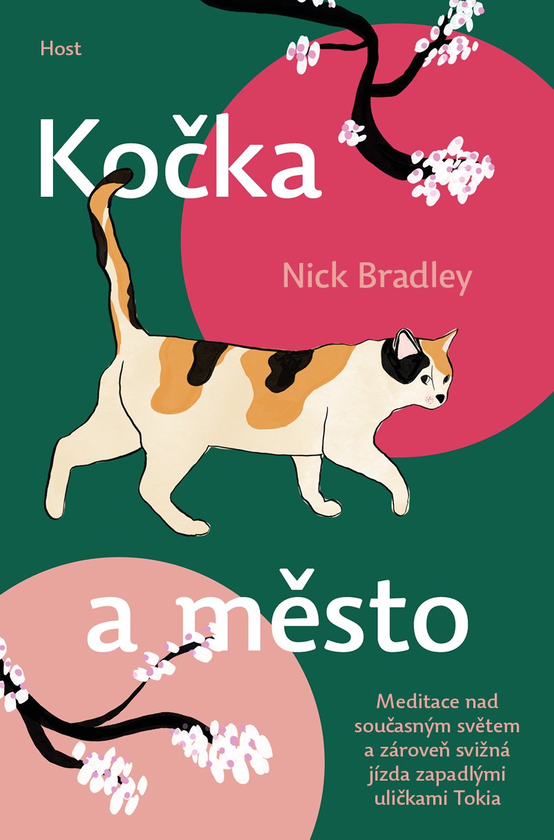 kocka a mesto