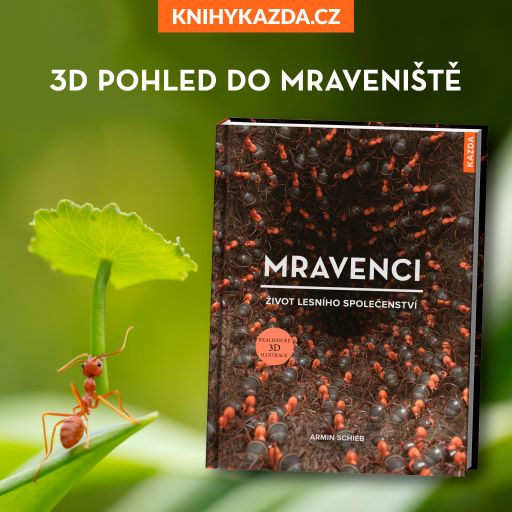 Mravenci, zdroj: TZ nakladatelství KAŽDÁ Mravenci, zdroj: TZ nakladatelství KAŽDÁ