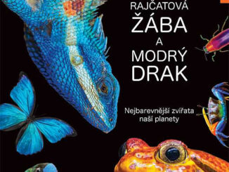 rajcatova zaba a modry drak