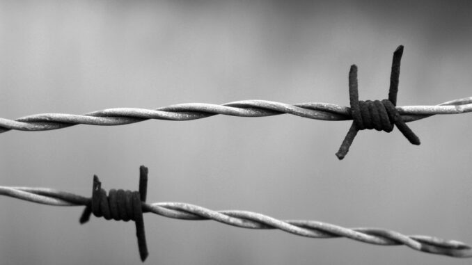 barbed wire 1269430 960 720