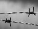 barbed wire 1269430 960 720