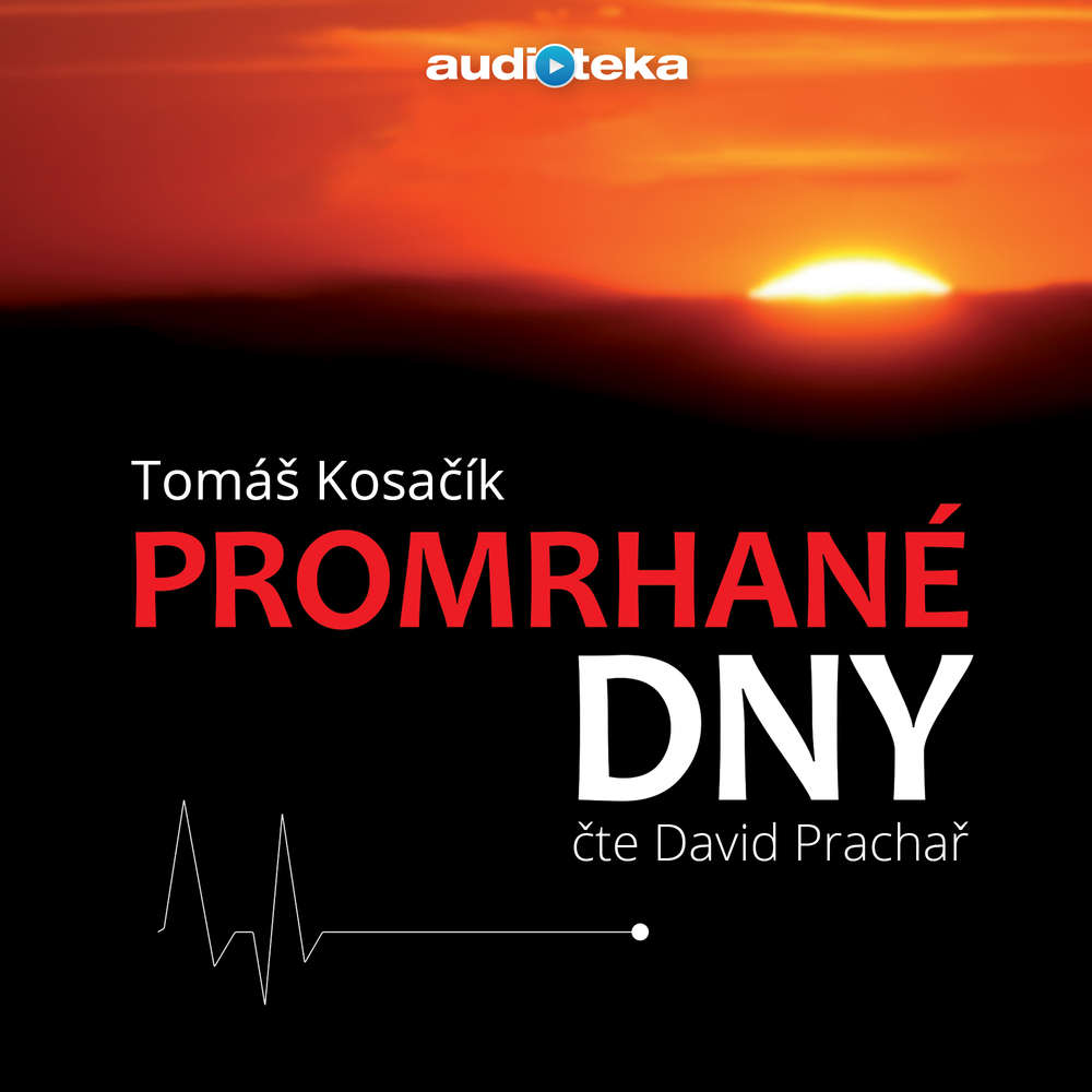 Audiokniha Promrhane dny Tomas Kosacik