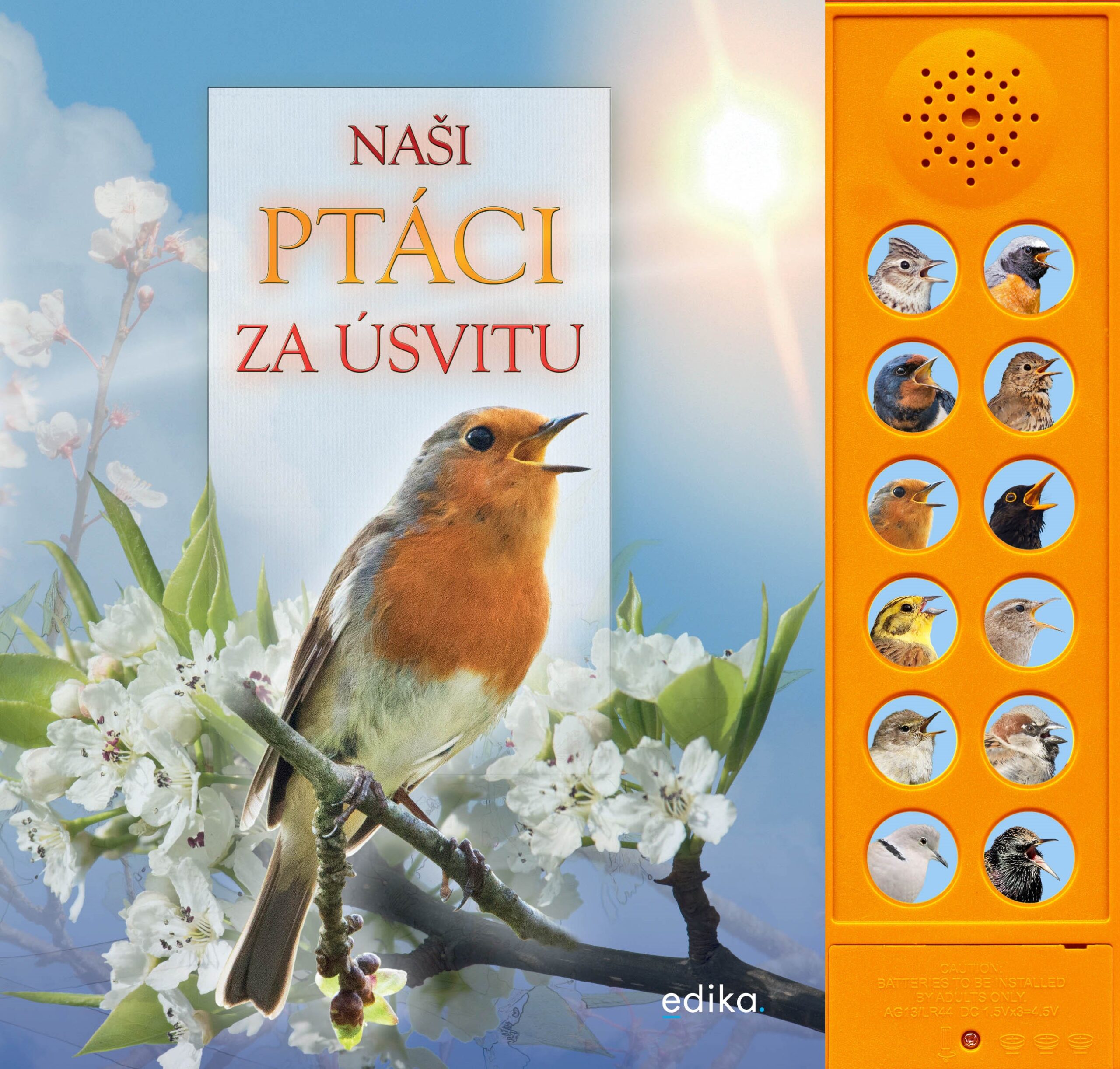 pta