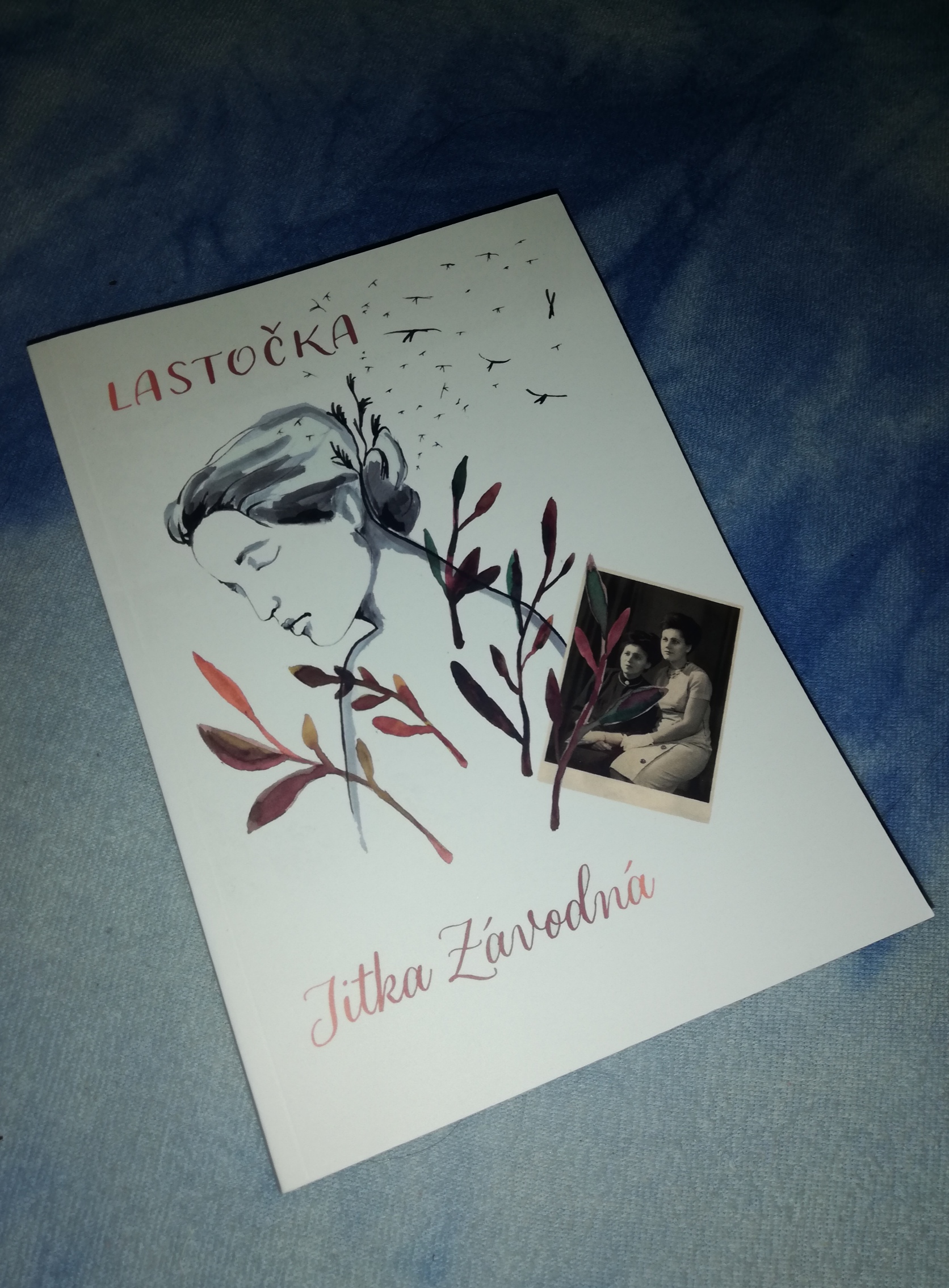 Lastocka Lastocka