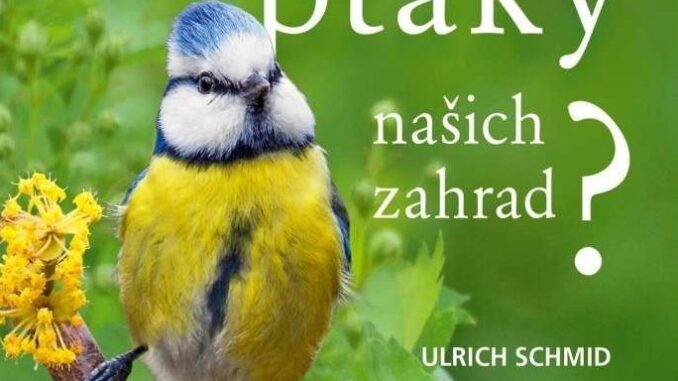 obálka, zdroj:www.knihykazda.cz