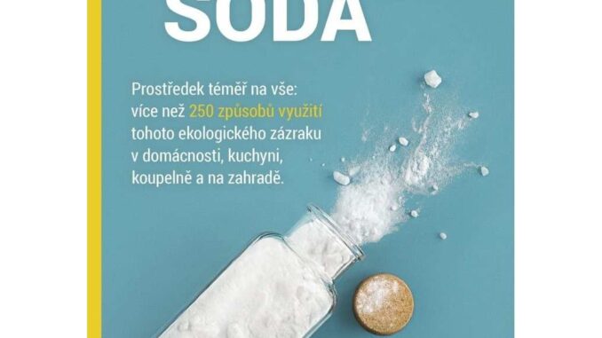 274 smarticular jedla soda prostredek temer na vse 274 smarticular jedla soda prostredek temer na vse