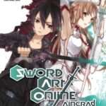 Sword Art Online: Aincrad