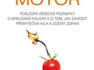 Metabolicky motor