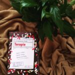 Terapie