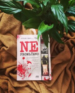 zdroj: vlastní archiv