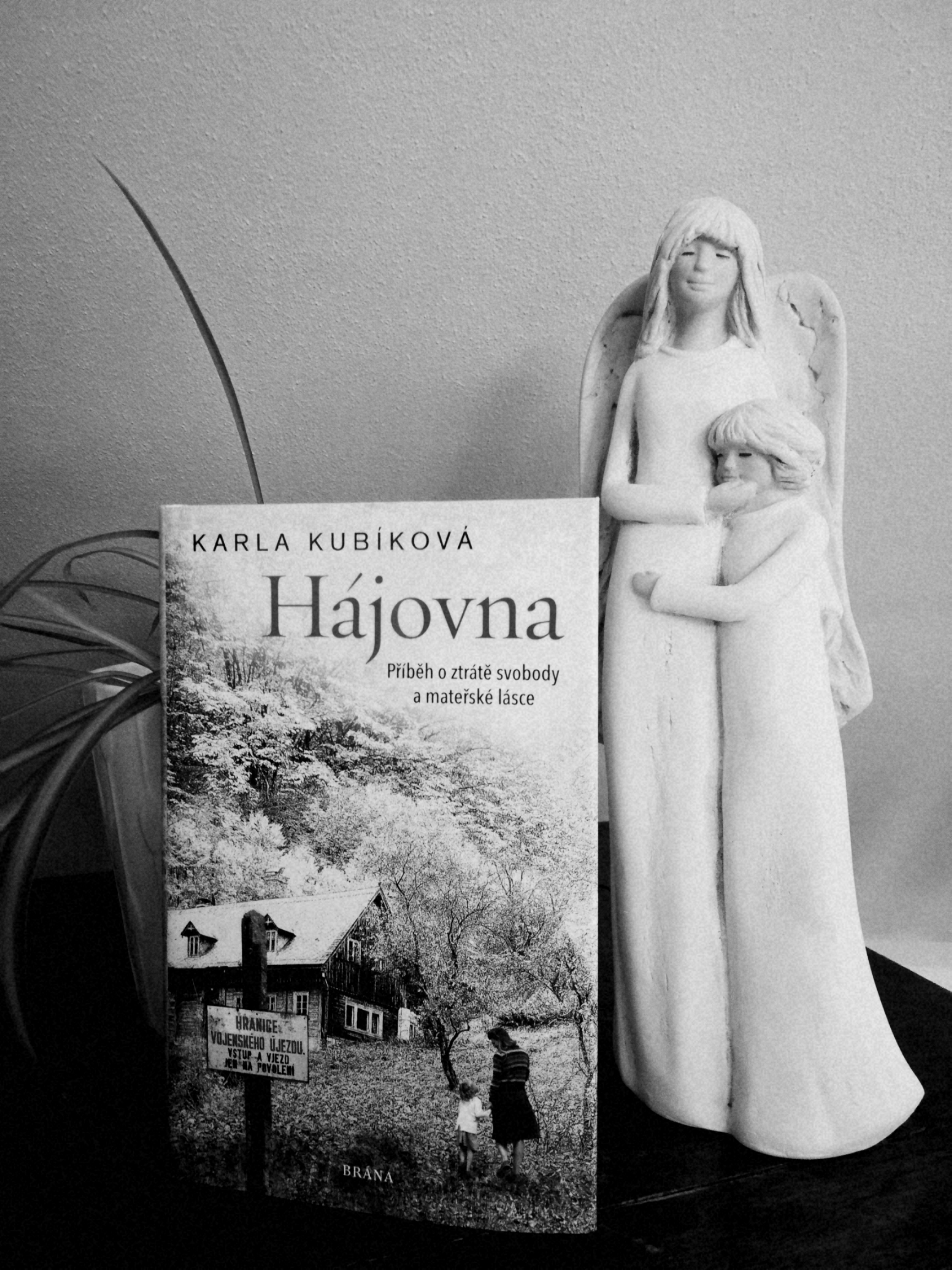 Hajovna