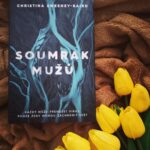 Soumrak mužů
