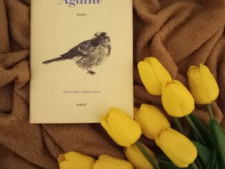 zdroj: vlastní archiv