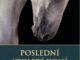 posledni stoleti koni