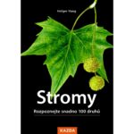 Procházka s poznávačkou stromů