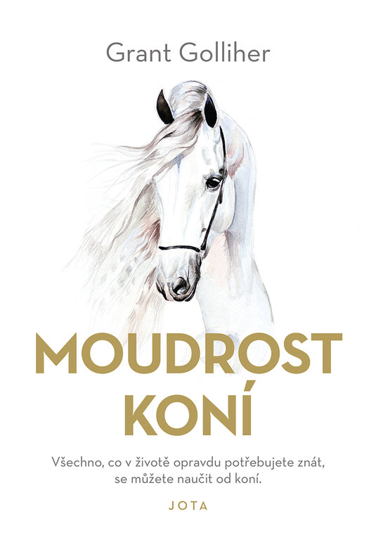 Moudrost koni