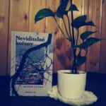 Neviditelné kořeny