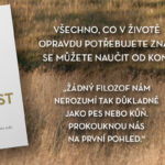 Všechno, co v životě potřebujete znát, se můžete naučit od koní