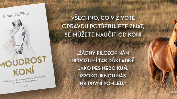 moudrost koni 862x360