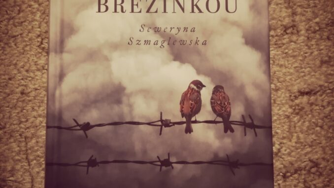 Dym nad Brezinkou Dym nad Brezinkou