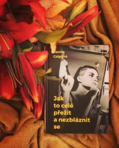 zdroj: vlastní archiv