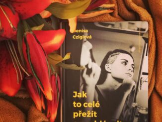 zdroj: vlastní archiv